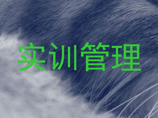 实训管理