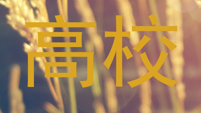 高校