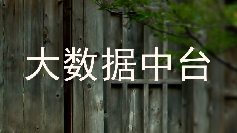 大数据中台