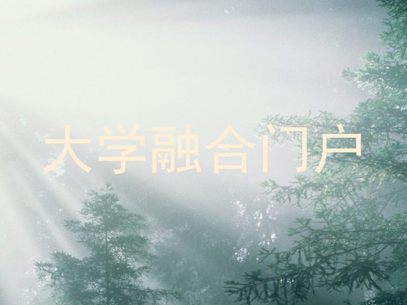 大学融合门户