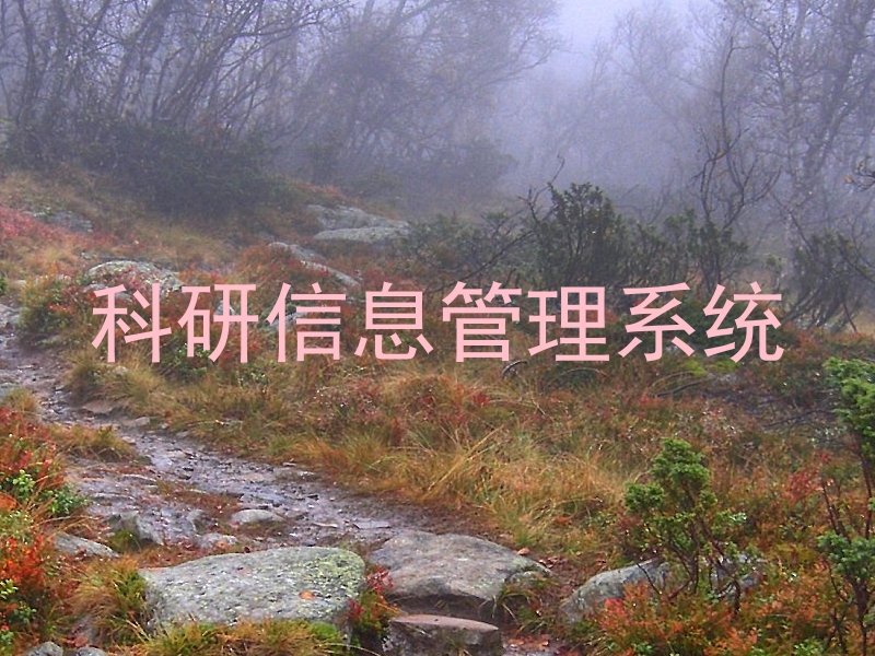 科研信息管理系统