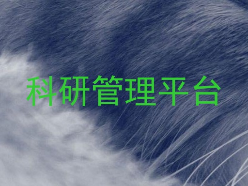 科研管理平台