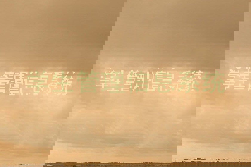 学生管理信息系统