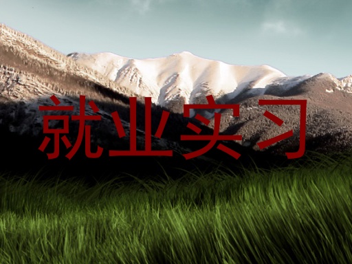 就业实习