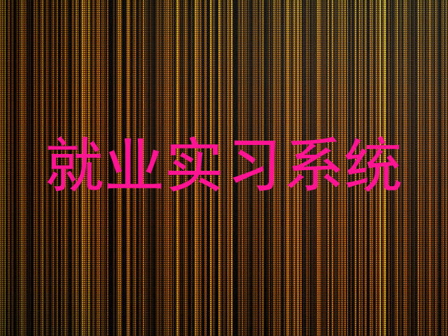 就业实习系统