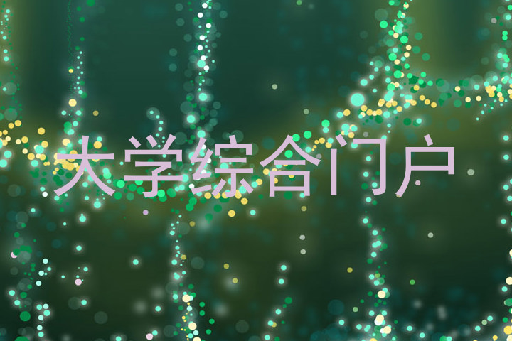 大学综合门户