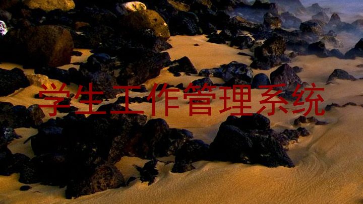 学生工作管理系统