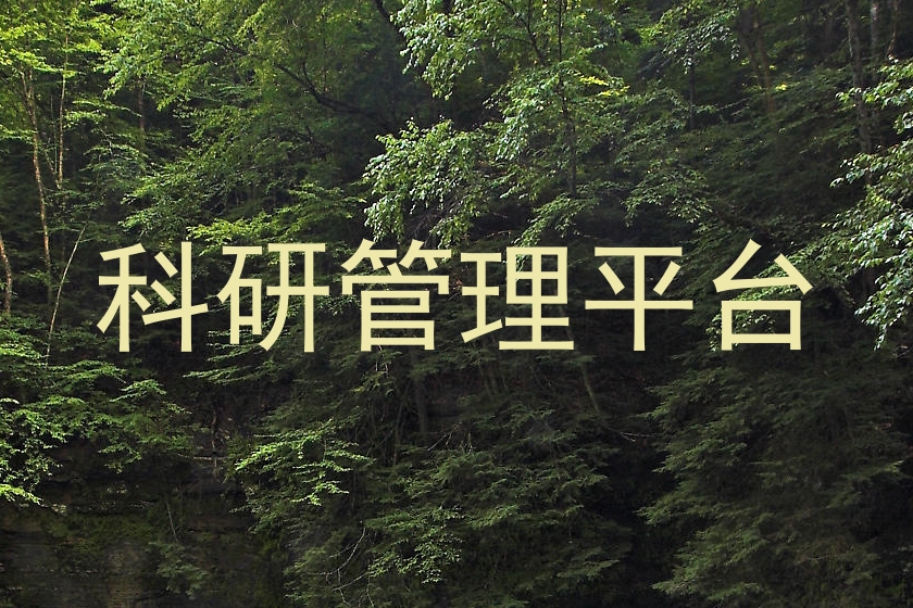 科研管理平台