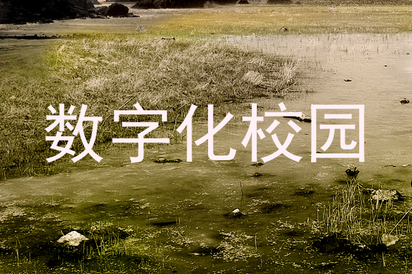 数字化校园
