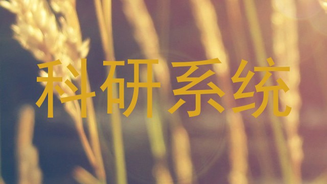 科研系统