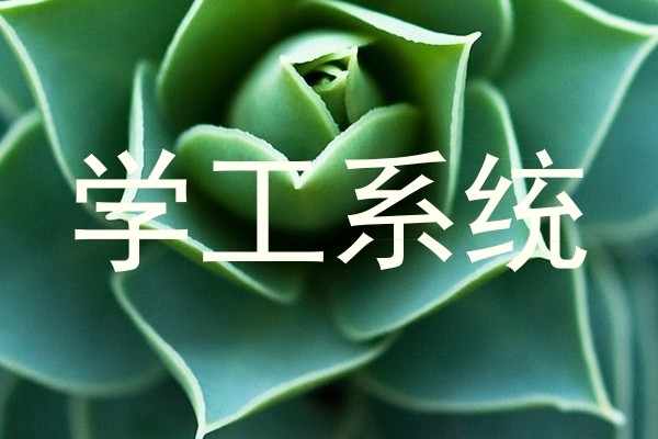 学工系统