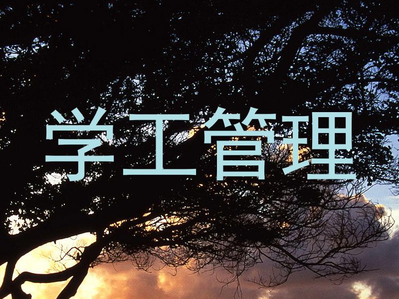 学工管理