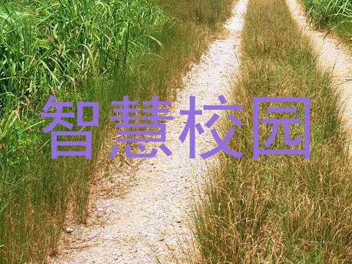 智慧校园