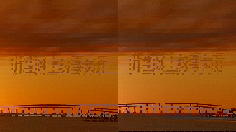 师生网上办事大厅