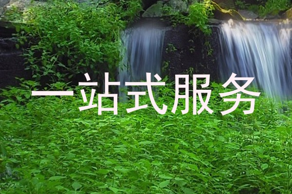 一站式服务