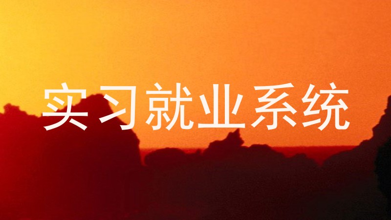 实习就业系统