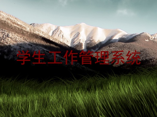 学生工作管理系统