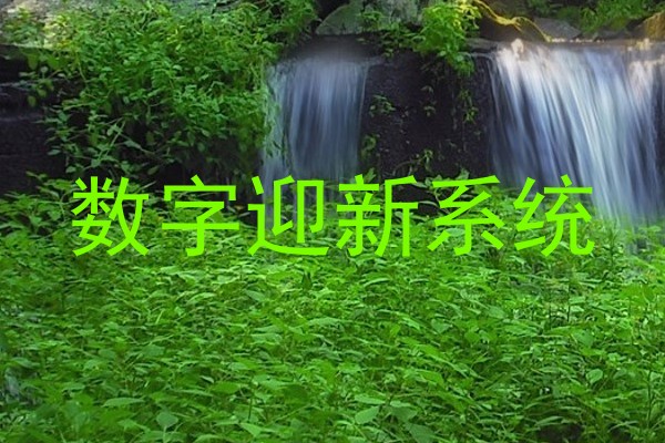 数字迎新系统