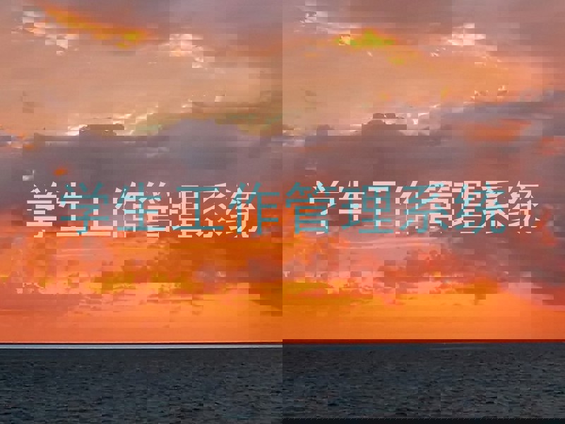 学生工作管理系统