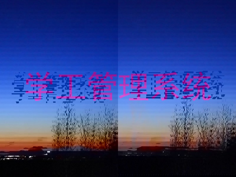 学工管理系统