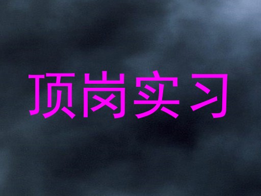 顶岗实习