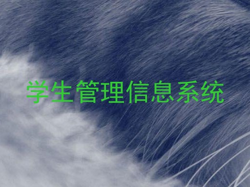 学生管理信息系统