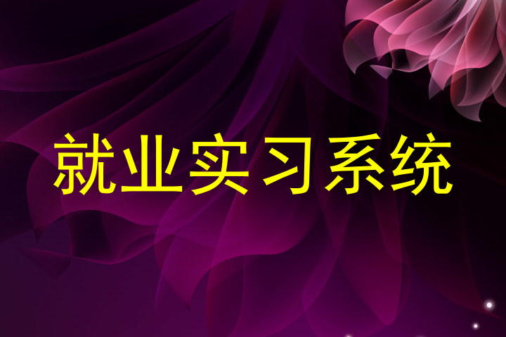 就业实习系统
