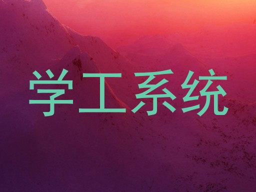 学工系统