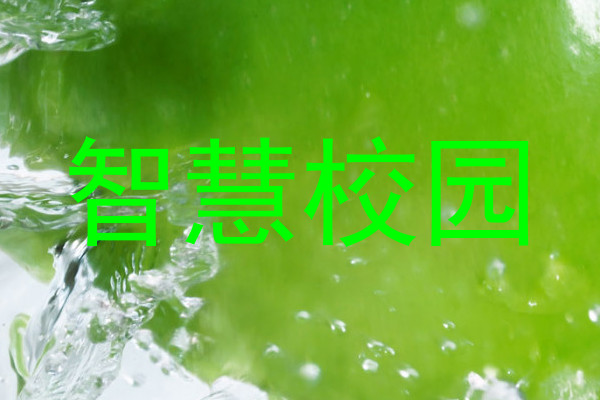 智慧校园