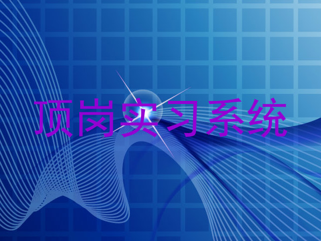 顶岗实习系统