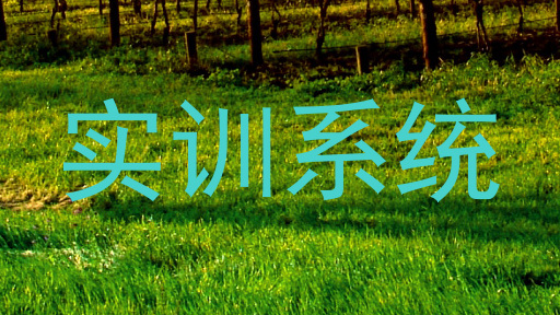 实训系统