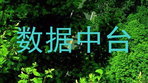 数据中台