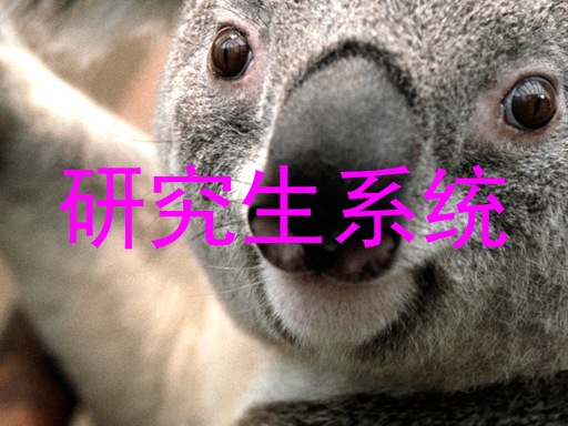 研究生系统