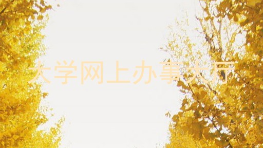 大学网上办事大厅