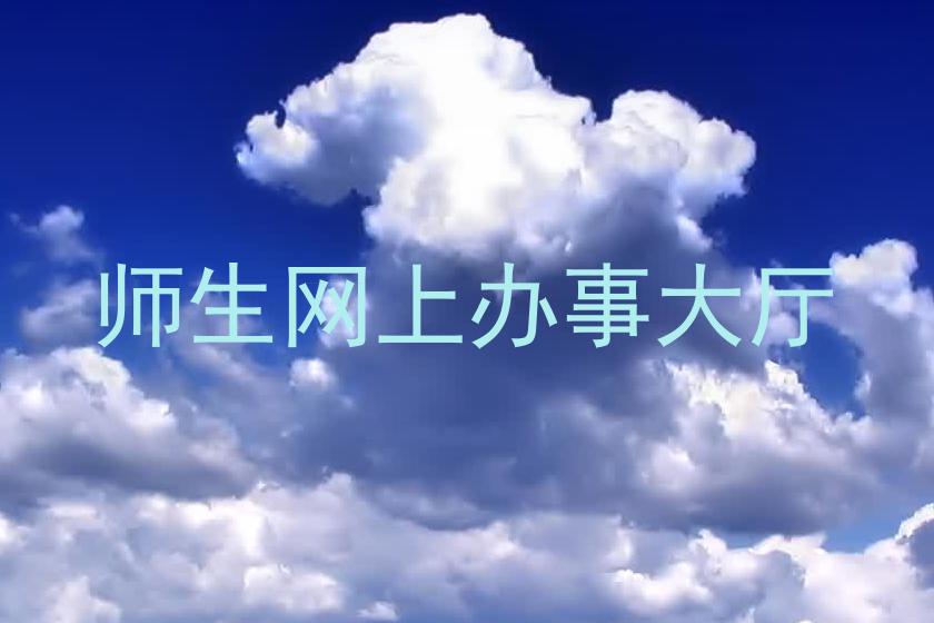 师生网上办事大厅