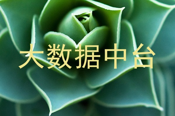 大数据中台