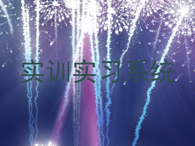 实训实习系统