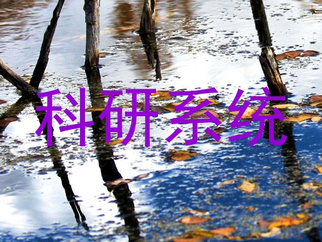 科研系统