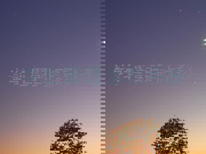 学生管理信息系统