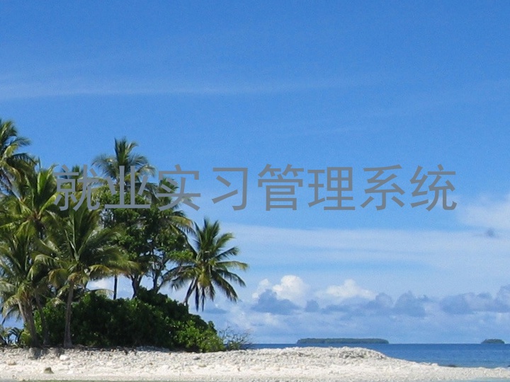 就业实习管理系统