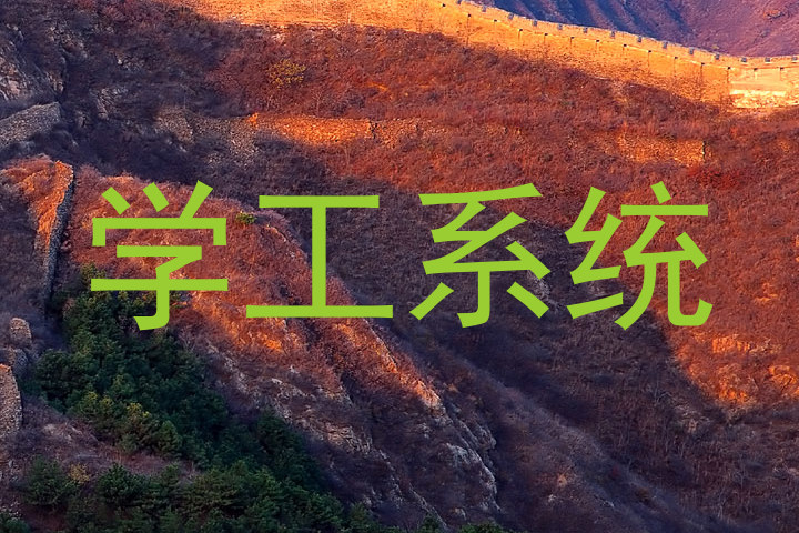 学工系统
