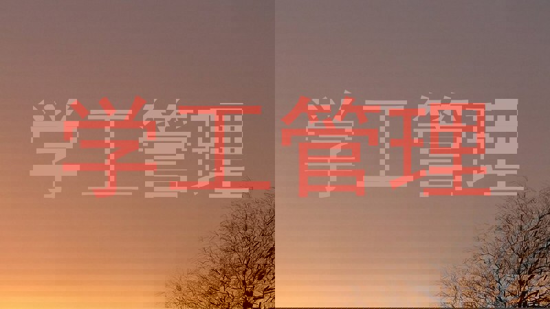 学工管理