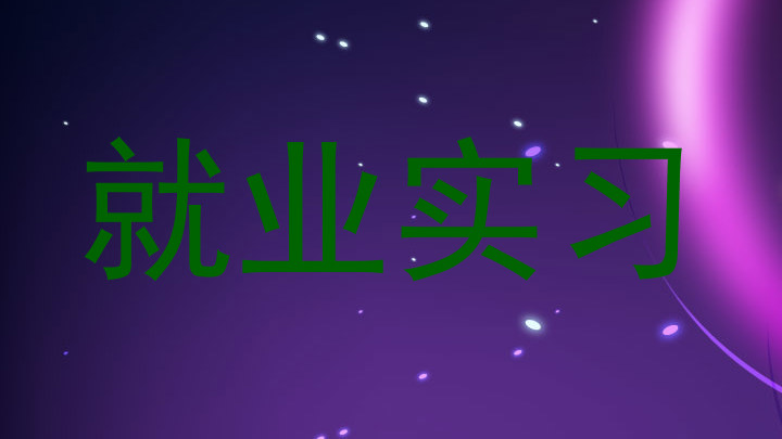 就业实习