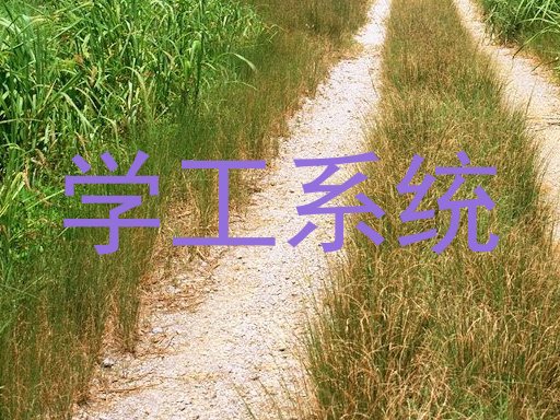 学工系统