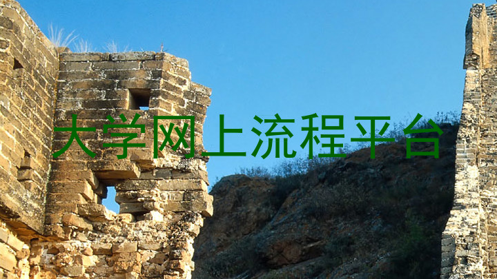 大学网上流程平台