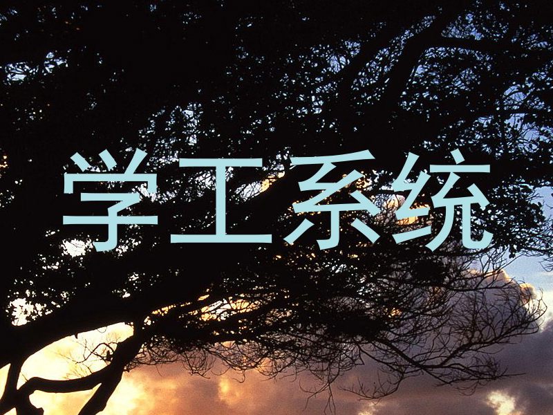 学工系统