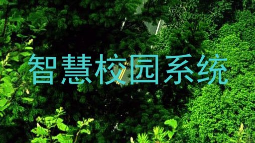 智慧校园系统