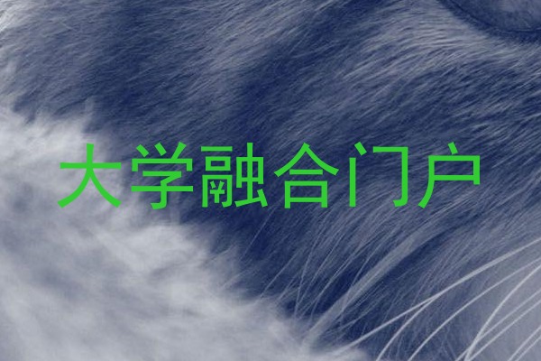 大学融合门户