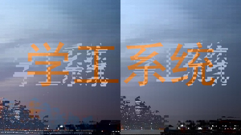 学工系统