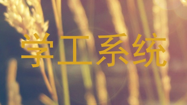 学工系统
